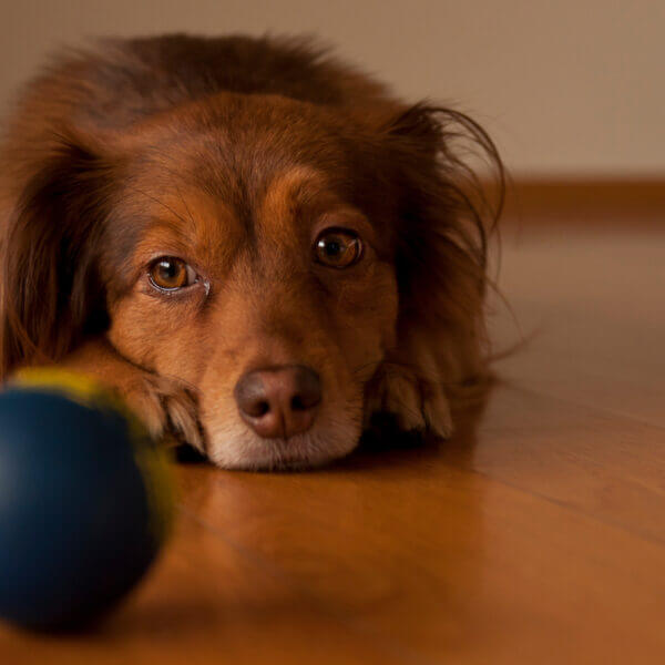 AdobeStock 127003031 scaled