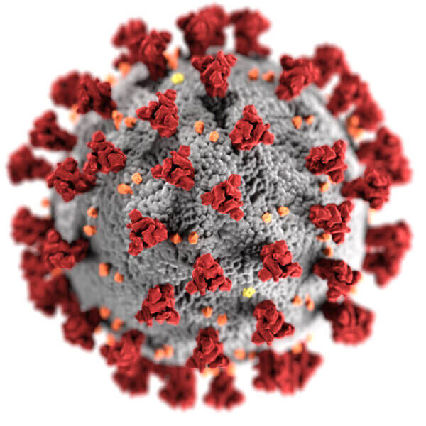 CoronaVirus