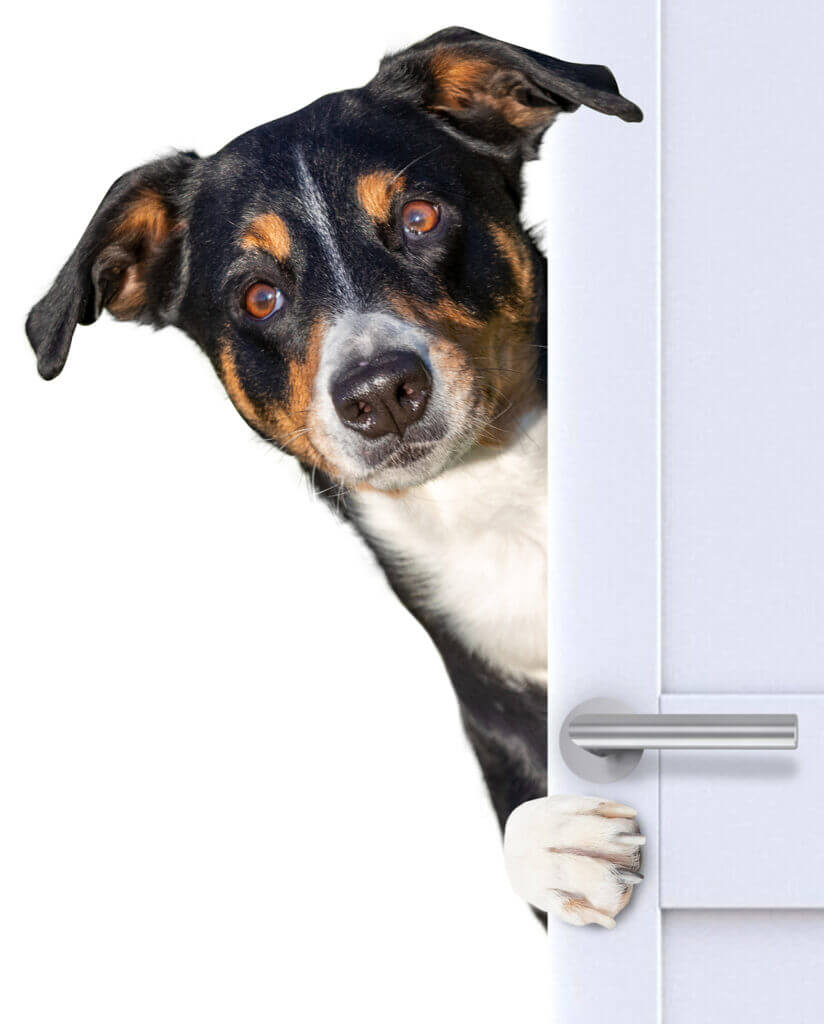 Second image